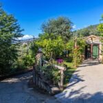 SORRENTO: Limoncello Making And Tasting Experience - Scenic Lemon Garden at Sunset