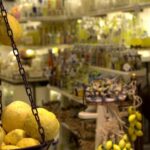 Sorrento, Pompei & Wine-Tasting: walk, visit & drink (8hour tour) - Exploring Sorrento: The Lemon Town