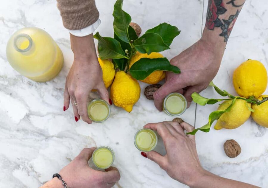 Sorrento: Tasting Local Top Wines with Typical Product - The Citrus Grove: An Enchanting Setting for Wine Tasting