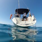 South Coast Tenerife Cruise - Marine Wildlife: Whales, Dolphins, and More