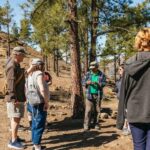 South Gran Canaria: Off-Road Valleys & Villages Jeep Tour - Exploring Gran Canaria’s Natural Landscape in an Off-Road Jeep
