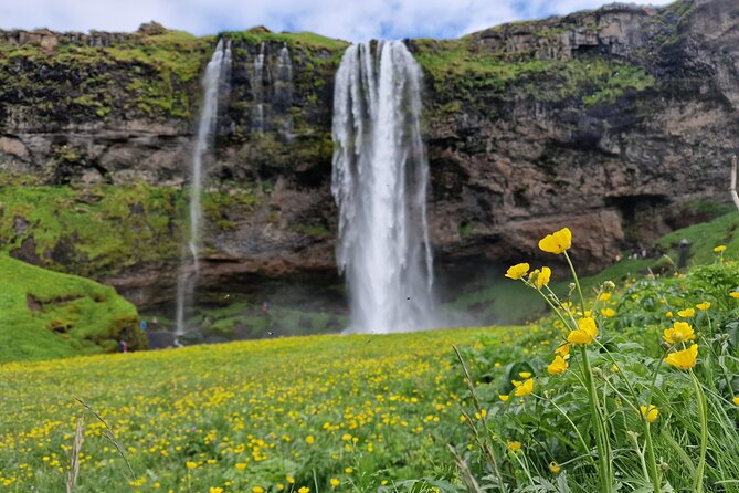 South Iceland, Glacier and Black Sand Beach Small Group Tour - Exploring Seljalandsfoss Waterfall: Walk Behind the Cascade