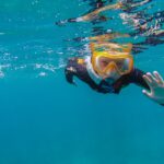 South Tenerife: Guided Snorkeling - Convenient Hotel Pickup and Transfer Service