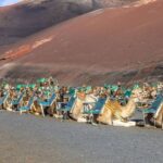 South Tour: Timanfaya National Park - Visiting Timanfaya National Park and Its Geothermal Demonstrations