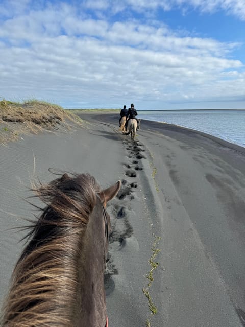 southern Iceland: Black beach riding tour - The Allure of Iceland’s Black Sand Beaches and Icelandic Horses