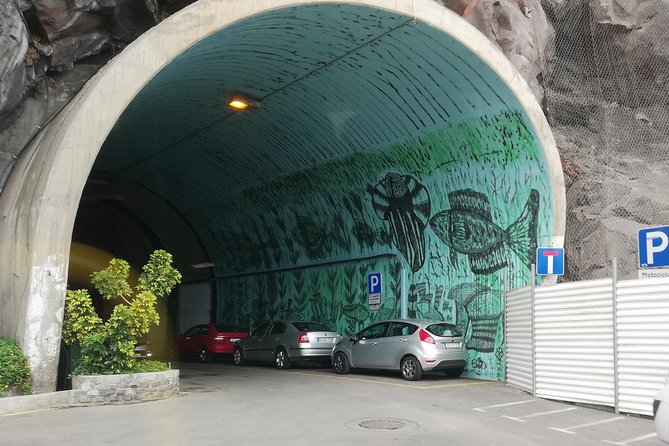 Southwest Tour of the Island - Discovering Ponta do Sol and Madalena do Mar