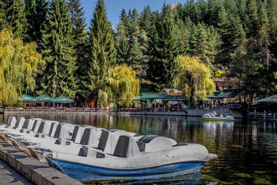 Spa & Culture Tour: Velingrad and Plovdiv Region (9 Days) - Starting the Journey in Bulgaria’s Spa Capital, Velingrad