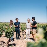 Spanish Villages & Winery Visit with Wine Tasting and Tapas Lunch - Discovering the UNESCO World Heritage Site of Aranjuez