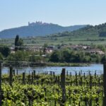Sparkling carriage ride through Krems and the Wachau vineyards - Route: From the Old Town to the Wachau Vineyards