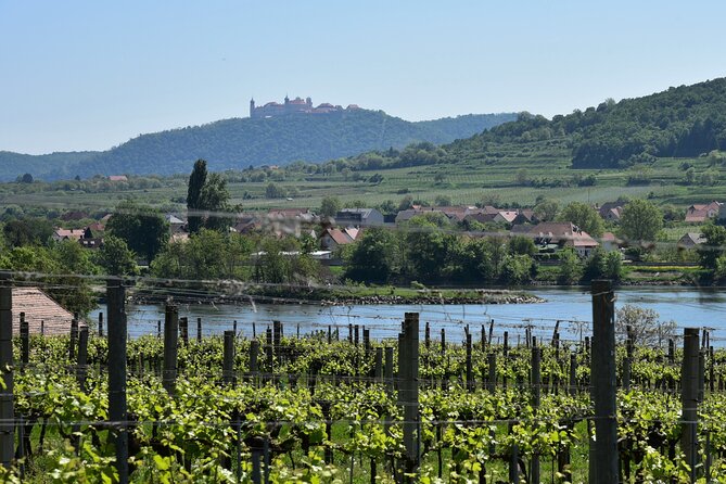 Sparkling carriage ride through Krems and the Wachau vineyards - Route: From the Old Town to the Wachau Vineyards