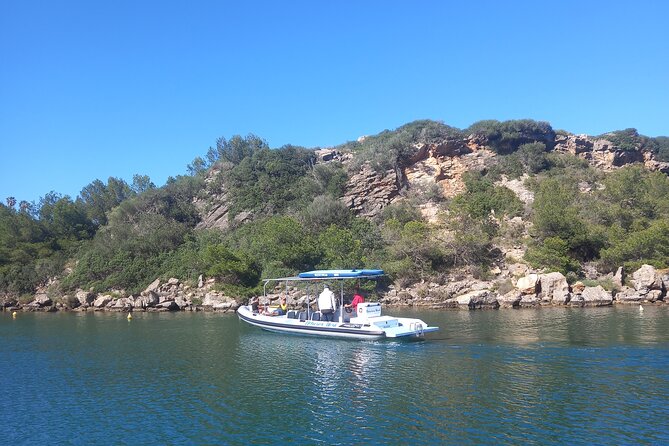 Speedboat excursion through the coves of northern Menorca - Departure from the Tranquil Port of Addaia