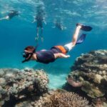 Speedboat to Hvar, Bra,Zeevo + Watersports - MPL Nautika - The Speedboat Departs from MPL Nautika at the Top of the Cape