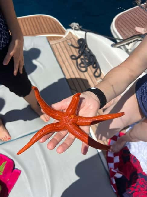 Split: 5 Islands Full-Day Tour to Blue Cave, Vis & Hvar - Small Group Comfort and Modern Speedboat Features