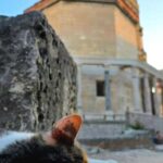 Split and Diocletian's Palace walking tour with a local guid - Walking Through Split’s Historic Streets and Markets