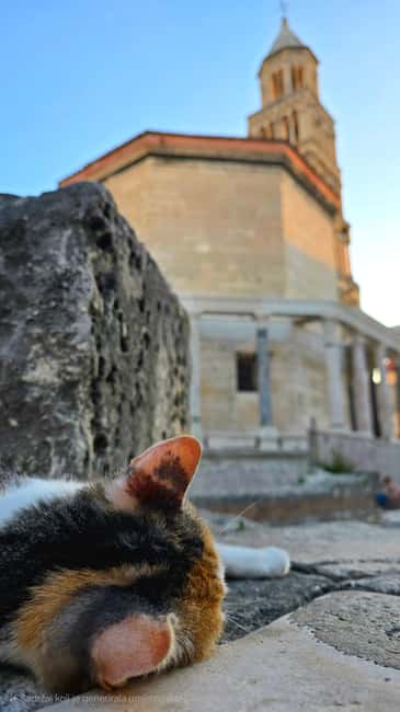 Split and Diocletian's Palace walking tour with a local guid - Walking Through Split’s Historic Streets and Markets