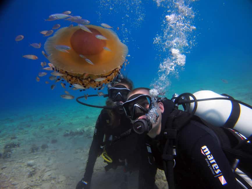 Split-Makarska-Brela Try SCUBA Dive - The Guides: Friendly, Knowledgeable, and Supportive