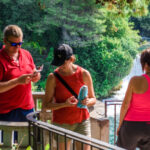 Split/Trogir: Krka National Park Day Trip & Boat to Skradin - Krka National Park’s Waterfalls and Wetlands