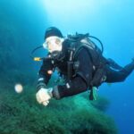 SSI Try Scuba Diving in the sea - Convenient Meeting Point at Octopus Garden Dive Center