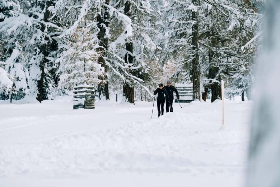 St. Moritz, Celerina, Silvaplana: Cross-Country Skiing - Learning Cross-Country Skiing with Professional Instructors