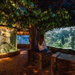 St Paul's Bay: Malta National Aquarium Entry Ticket - The Main Tank and Walk-Through Tunnel Experience