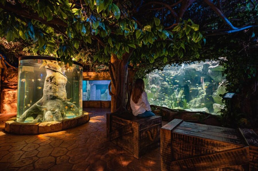 St Paul's Bay: Malta National Aquarium Entry Ticket - The Main Tank and Walk-Through Tunnel Experience