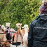 Staffordshire: Wetley Moor Alpaca Trekking Experience - Comparing Wetley Moor Alpaca Trekking with Other Experiences