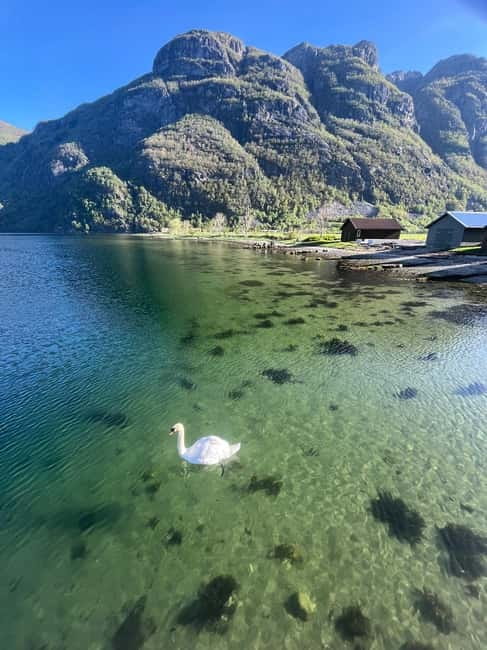 Stavanger: Månafossen Waterfall and Via Ferrata Bouldering - Stavanger’s Breathtaking Månafossen Waterfall