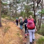 Stavanger/Sandnes: Preikestolen Guided Hidden Nature Hike - Exploring the Hidden Trail to Preikestolen