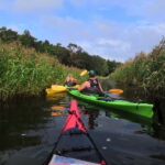 Stockholm Archipelago: Fun-Day Kayaking with Island Lunch - Starting Point and Transportation to the Archipelago