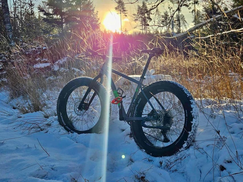 Stockholm: Fat Bike Forest Adventure with Lunch and Sauna - The Forest Trails and Scenic Highlights