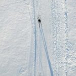 Stockholm: Introduction to Cross Country Skiing - Learning the Basics of Cross-Country Skiing