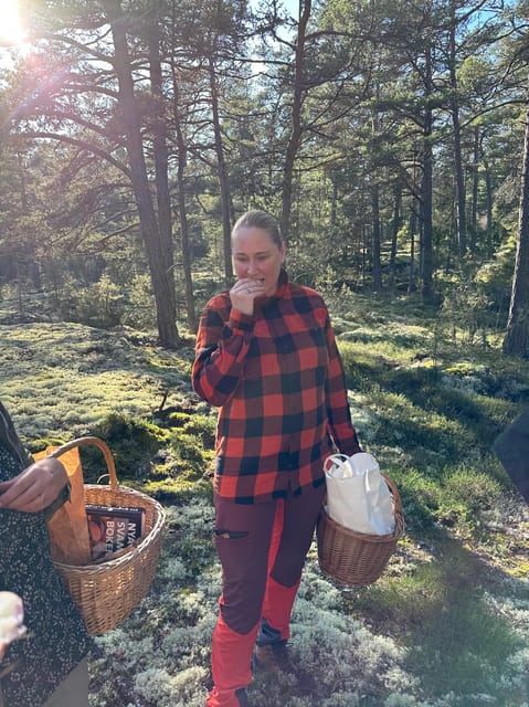 Stockholm, Mushroom and Wild Plant Foraging Tour with expert - Forest Foraging: Mushrooms, Berries, and Wild Plants