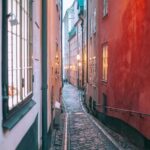 Stockholm: Old Town Gamla Stan Guided Walking Tour - The Preservation Movement and the Oldest Tree