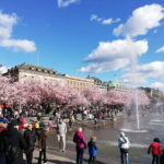 Stockholm: Scandinavian Architecture & Design Ostermalm Tour - Exploring Stureplan and Its Architectural Significance