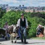 Stockholm: Skansen Open-Air Museum Admission Ticket - Seasonal Changes and the Christmas Market