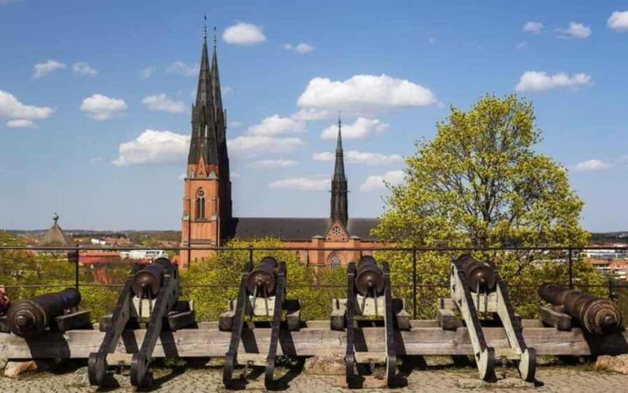 Stockholm: Uppsala Half-Day Swedish Oxford & Cathedral Tour - Discovering Hidden Gems and Local Secrets