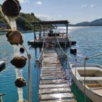 Ston Gastro Tour - Discovering the Charm of Ston Town and Its City Walls