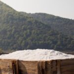 Ston Gastro Tour From Dubrovnik - Visiting Putnikovic: Wineries and Wine-Making Traditions