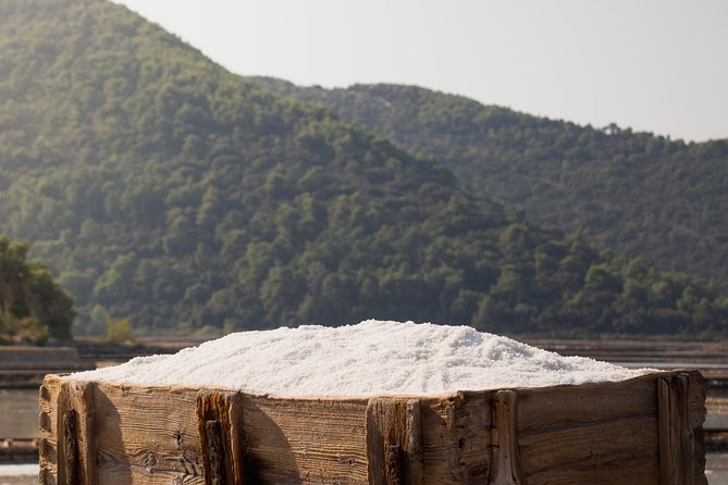 Ston Gastro Tour From Dubrovnik - Visiting Putnikovic: Wineries and Wine-Making Traditions