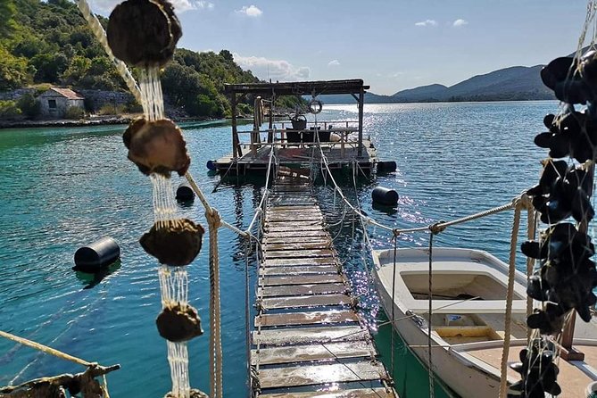 Ston Gastro Tour - Discovering the Charm of Ston Town and Its City Walls