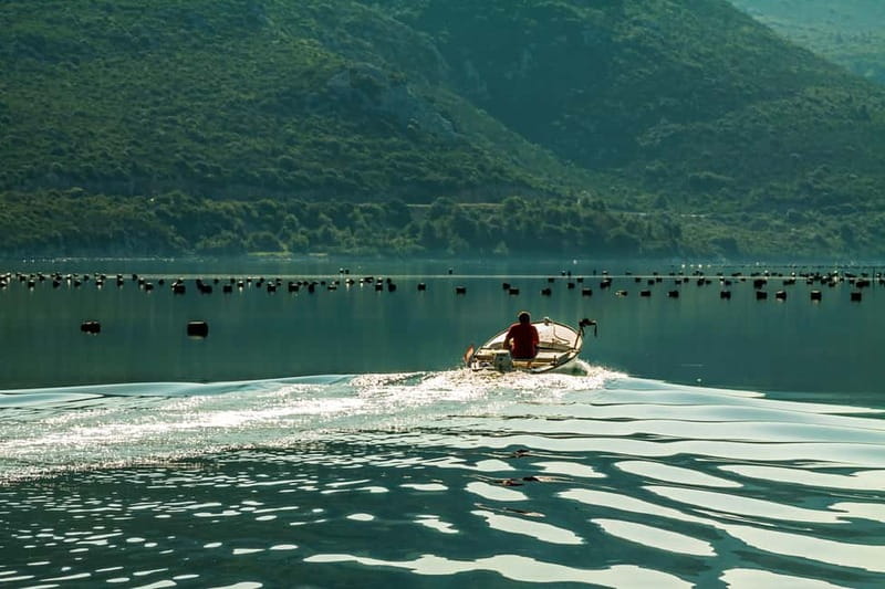 Ston Oyster & Wine Tasting Private Tour From Dubrovnik - Visiting the Oyster Farms in Hodilje