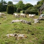 Stonehenge, Avebury, and West Kennet Long Barrow from Salisbury - Convenient Salisbury Pickup and Drop-Off for Easy Access