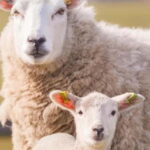 Stonehenge, Bath, Windsor, Cotswolds Villages - Starting Point and Transportation Details in London