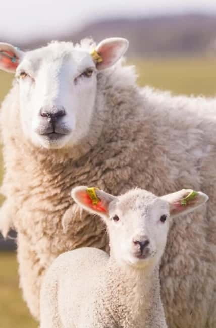 Stonehenge, Bath, Windsor, Cotswolds Villages - Starting Point and Transportation Details in London