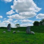 Stonehenge Special Access - Evening Tour from London - Meeting Point and Transportation Logistics
