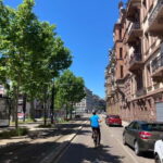 Strasbourg: Bike Tour with a Guide bikes included - The Route: From Little France to European Districts