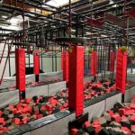 Strasbourg - Ninjastorm: Entrance to the obstacle course - The Location and Unique Setting of Ninjastorm in Strasbourg