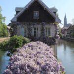 Strasbourg: Walking Tour with Local Guide - The Tour Starts at a Convenient Central Location