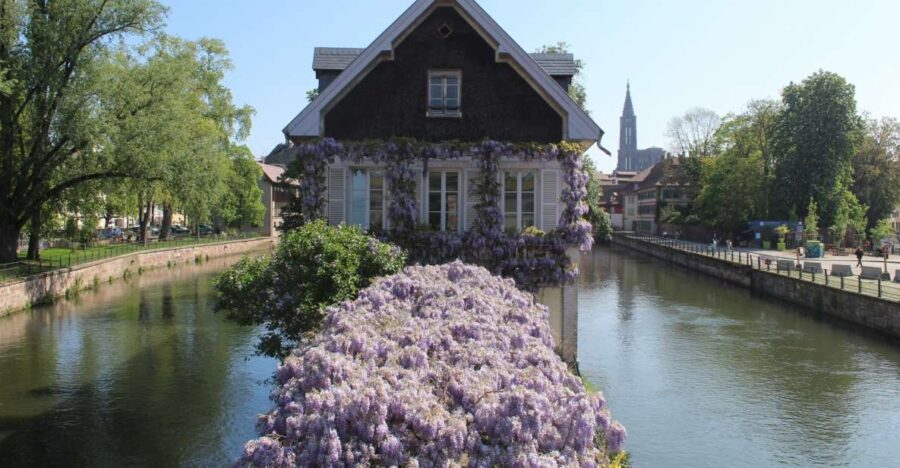Strasbourg: Walking Tour with Local Guide - The Tour Starts at a Convenient Central Location