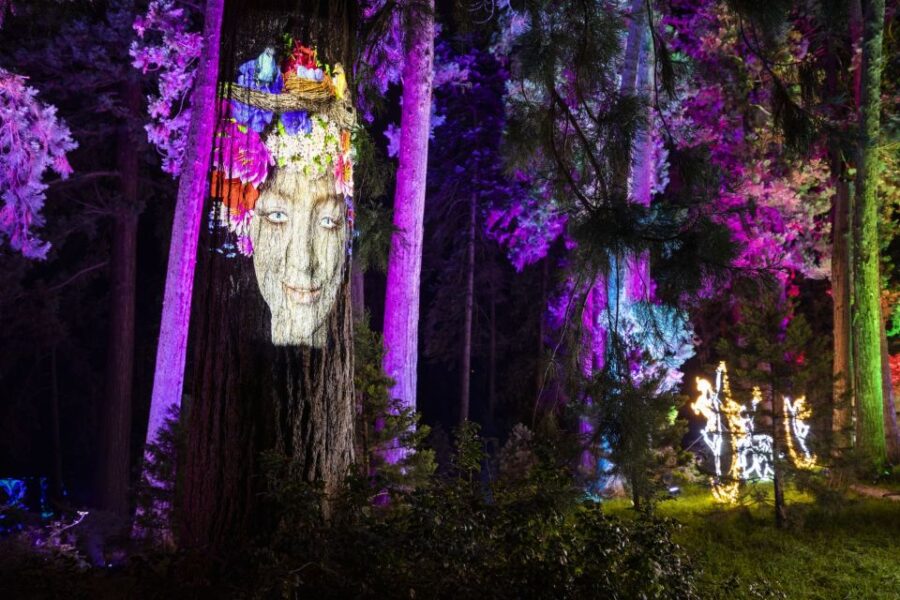 Stuttgart: Christmas Garden at the Wilhelma Zoo - The Sparkling Light Installations and Enchanting Atmosphere